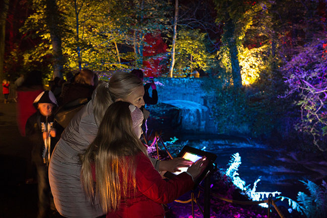 Illuminight was a success with its visitors in 2017
