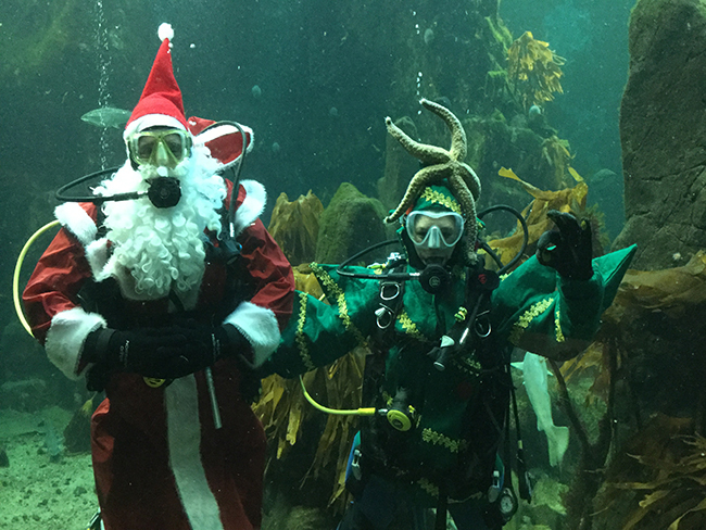 Santa will be visiting the Macduff Aquarium this weekend