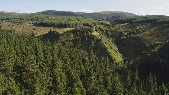 The Forest on BBC One Scotland follows the lives of people working in the Galloway Forest 