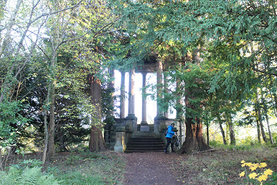 An arboreal walk will be held at the Duke’s Monument, Barncluith, in Chatelherault Country Park