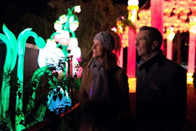 The Giant Lanterns of China at Edinburgh Zoo 