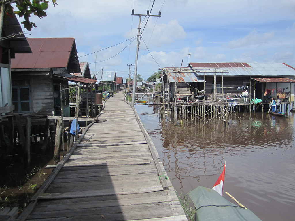A boardwalk on stilts in Borneo