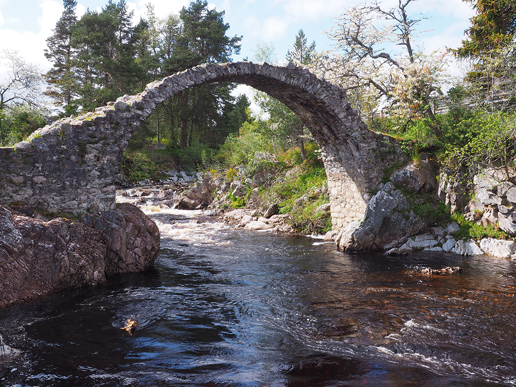 The famous bridge in Carrbridge