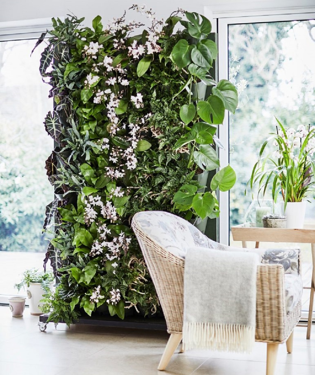 A living wall creation
