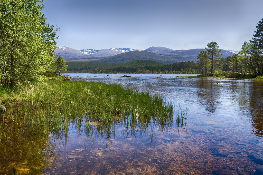 The clear waters of Loch Morlich, in the Cairngorms