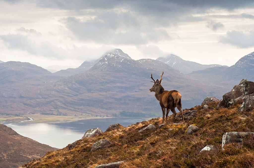 The Nature of Scotland awards celebrate the people, projects and organisations across the country