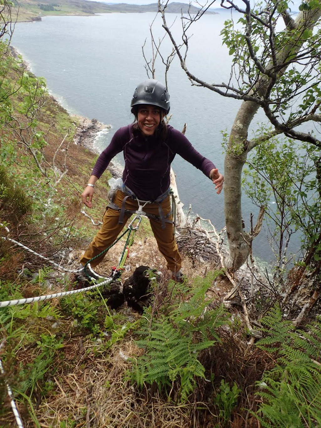 Gabriela Peniche putting chicks back in a white tailed sea eagle’s nest 