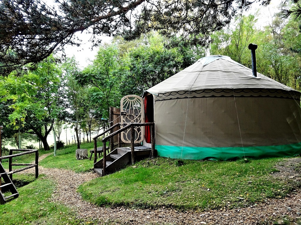 The Old Pine Yurt