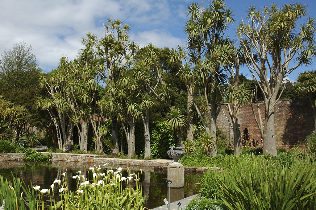 Walled garden pond excellent