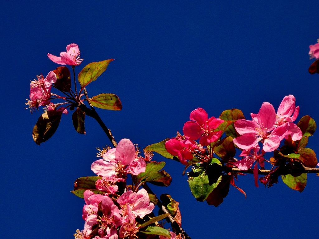 Beautiful colours in the Esk, in XXX, taken by Nik Watt