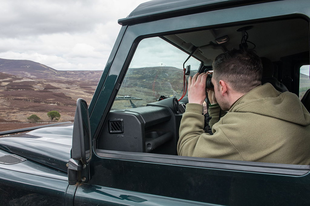 Keepers at Invercauld searching for sea eagle (Picture: Steven Rennie Photography) 