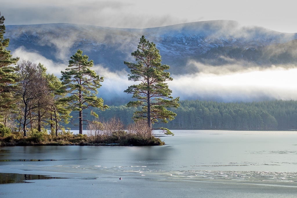 Loch an Eilein in the Cairngorms National Park