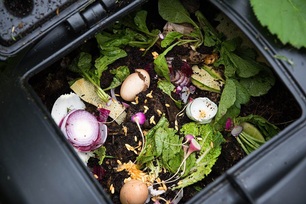 Composting is on the increase in Scotland