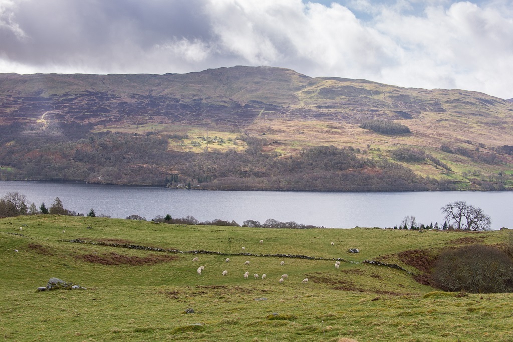 Views from Rynachulaig Farm