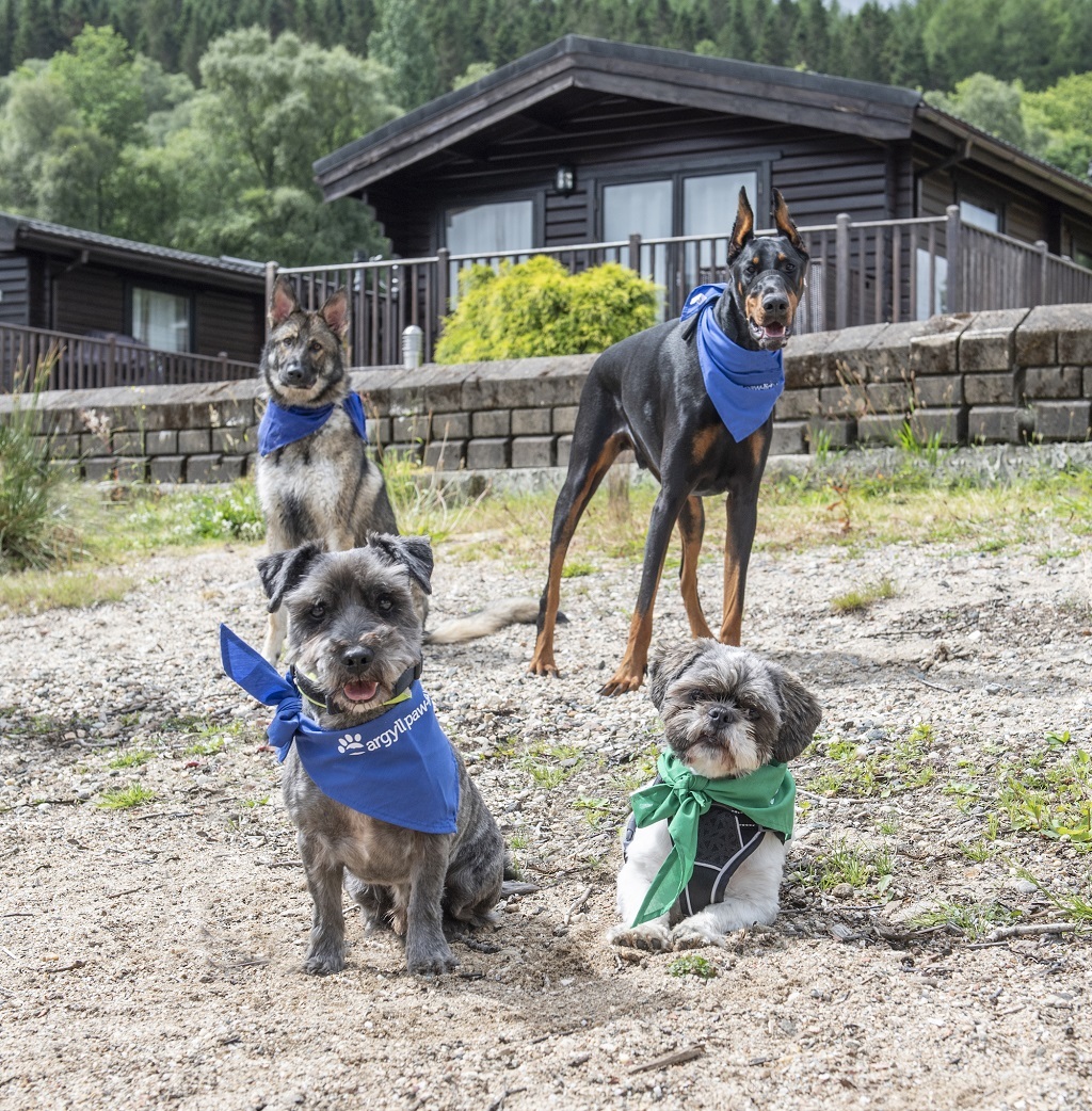 A donation will be made to the Scottish SPCA for every dog that stays with Argyll Holidays