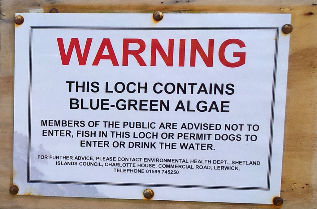 The sign at Collaster Loch, in Twatt, warning of the algae