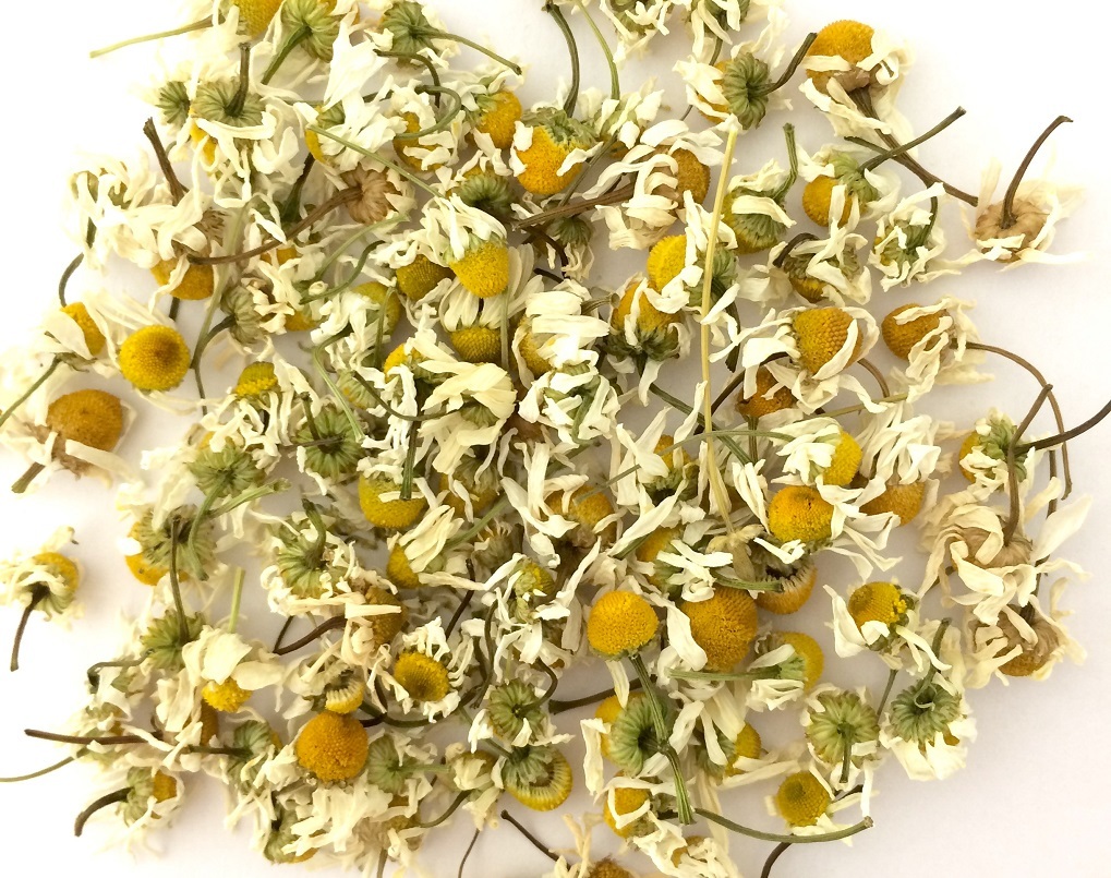 Chamomile grown at Windy Hollow Farm near Auchterarder