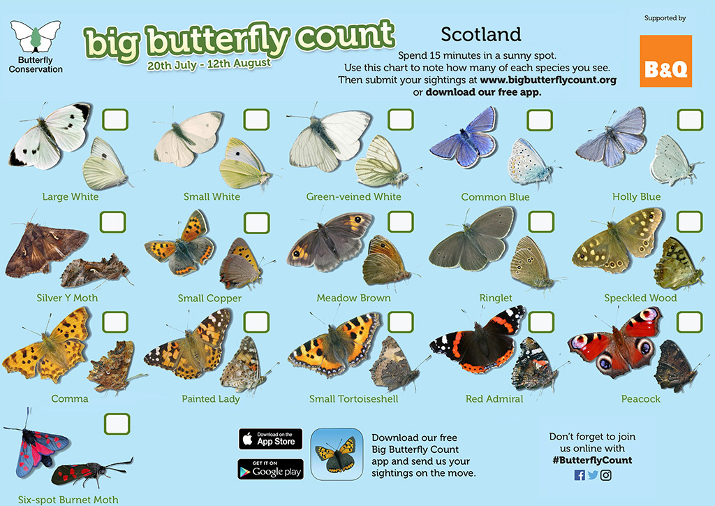 A checklist of Scottish butterflies