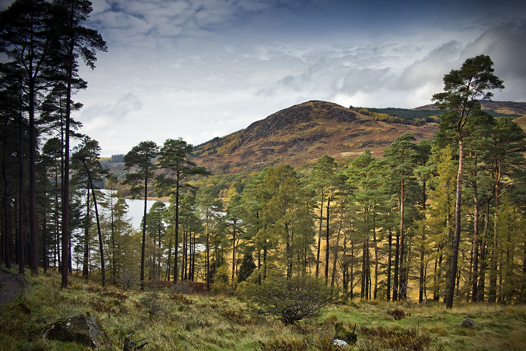 Beautiful Loch Trool