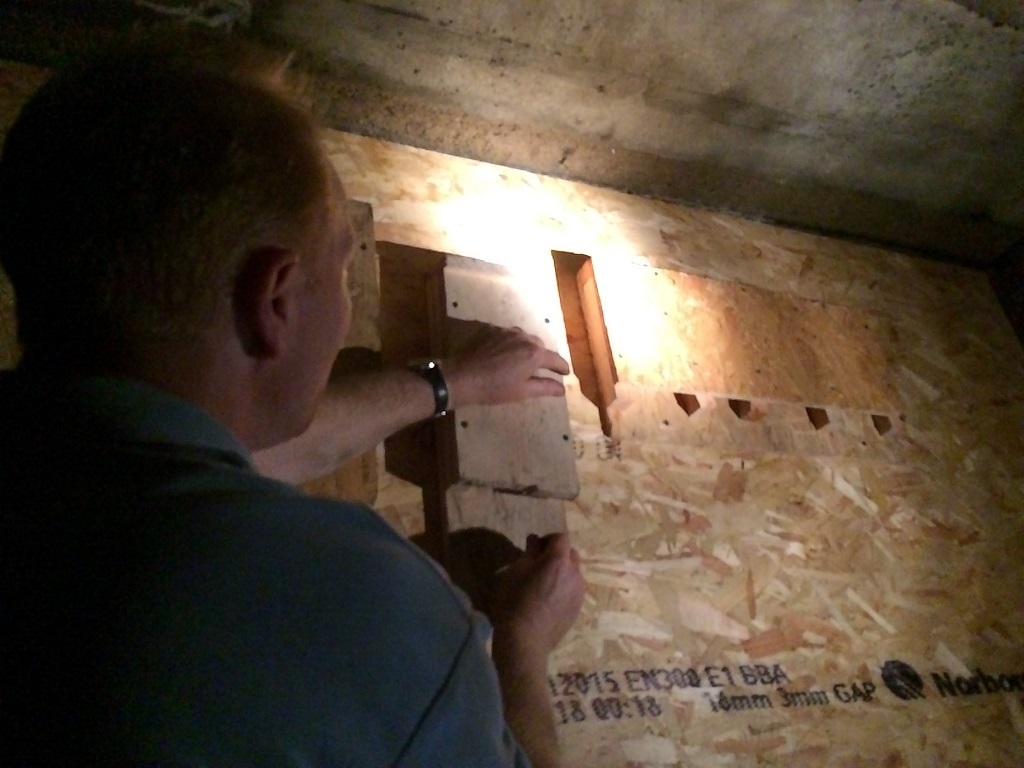 Volunteer Steve installing bat boxes (Photo: Cait McCauley)