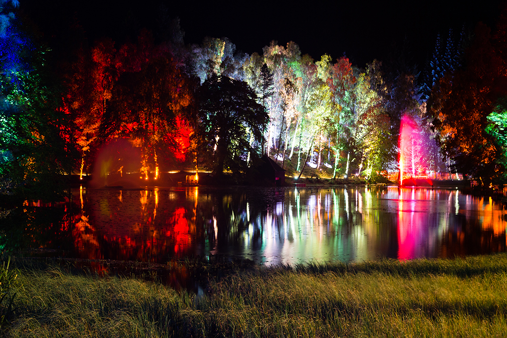 The Enchanted Forest won Best Cultural Event or Festival (Photo: Angus Forbes)