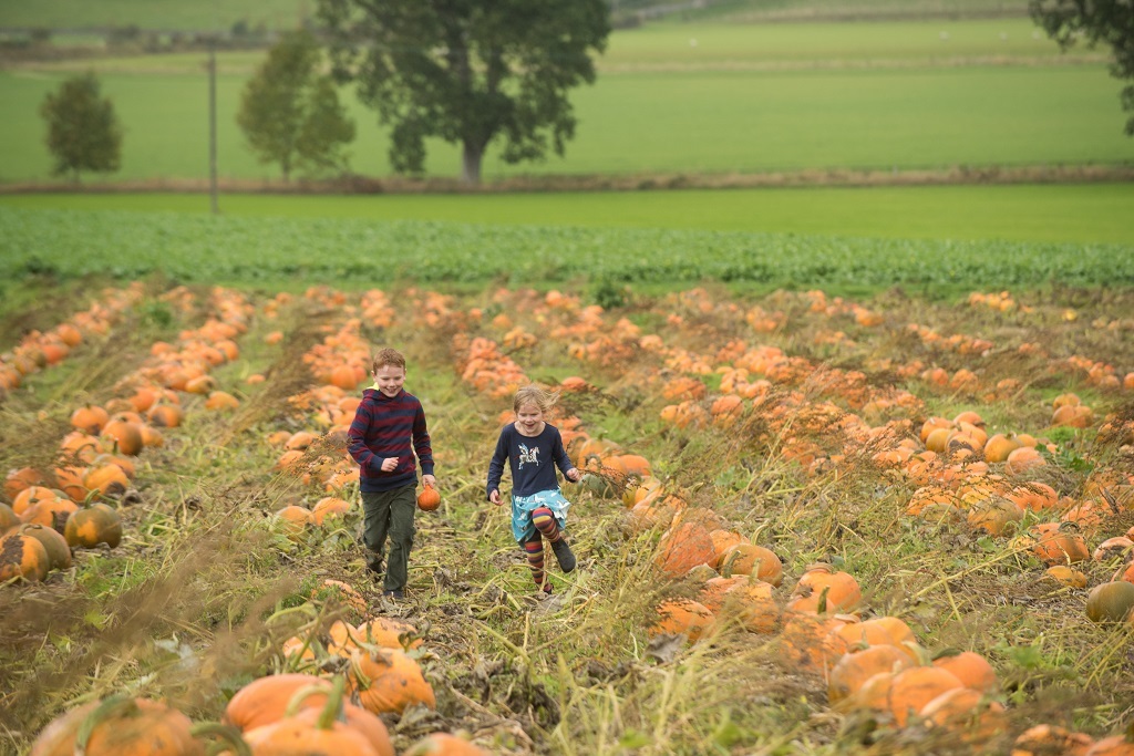 The McEwan family of Arnprior farm are all set for Arnprior Pumpkins annual October event.