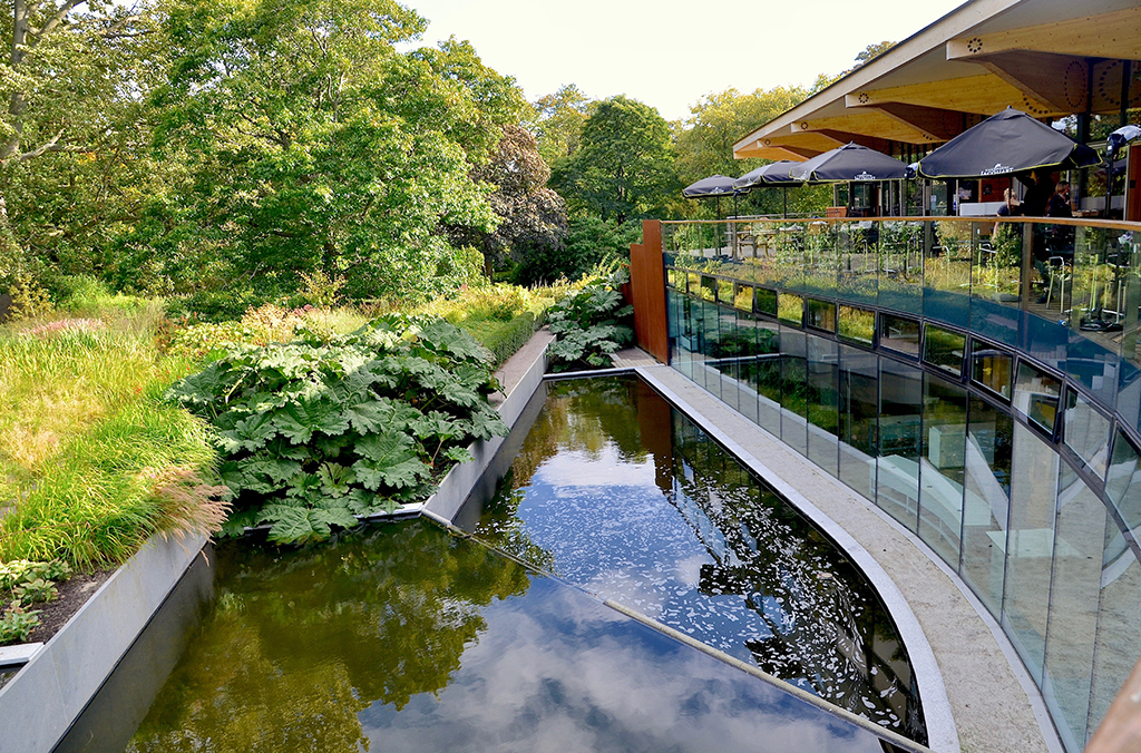 The cafe at the John Hope Gateway, the new information centre for the Royal Botanic Gardens in  Edinburgh