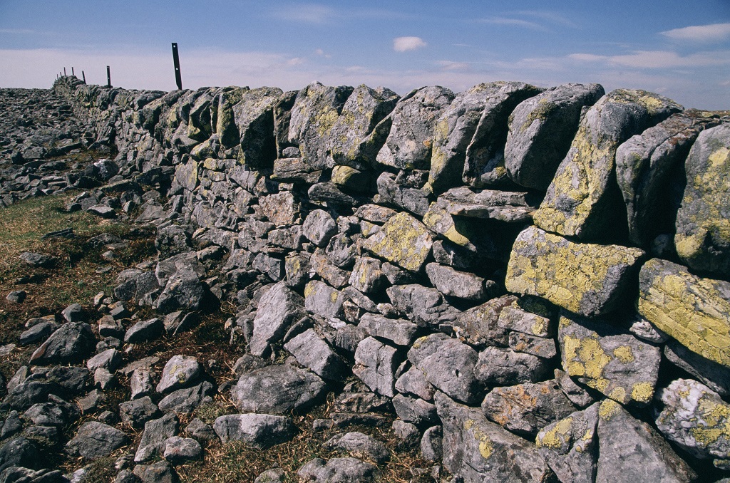 The drystane dyke