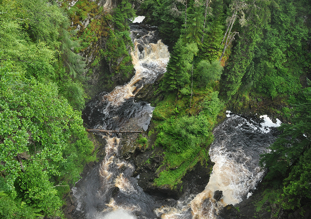 Plodda Falls, reputedly
one of the highest vertical falls in Scotland, plunges 46 metres into Glen Affric 