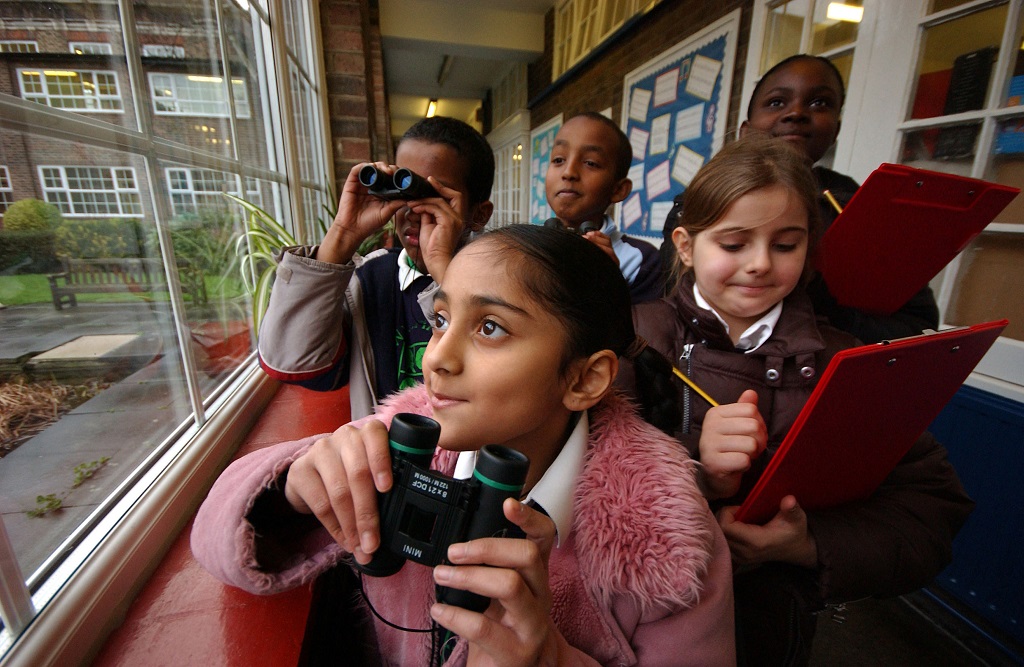 Children watching birds at school