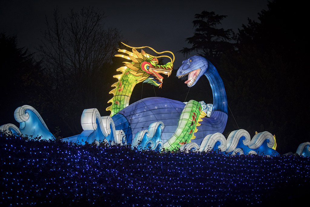 Nessie and a Dragon, at the Giant Lanterns of China  at Edinburgh Zoo (Photo: Stewart Attwood)