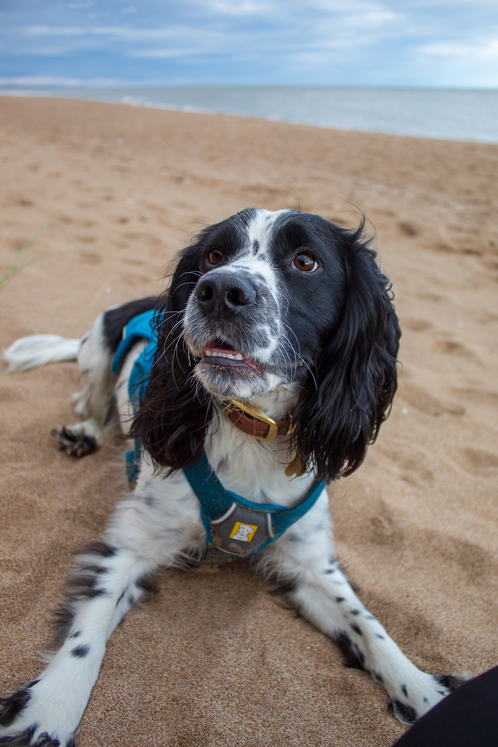 Balmedie Beach (Photo: Lauren McKerron)