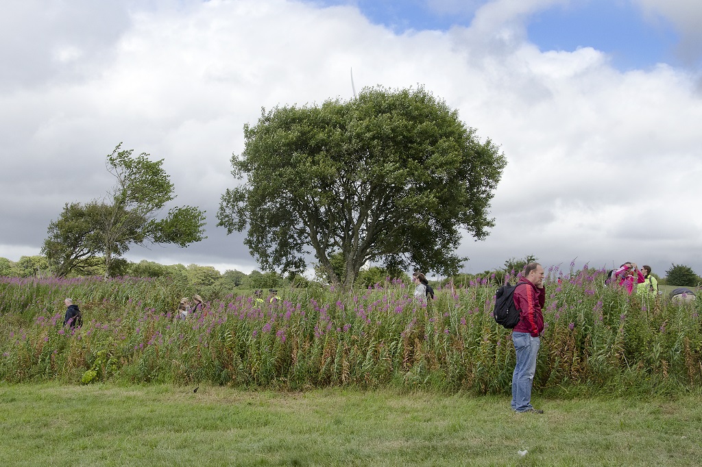 The Cathkin Braes