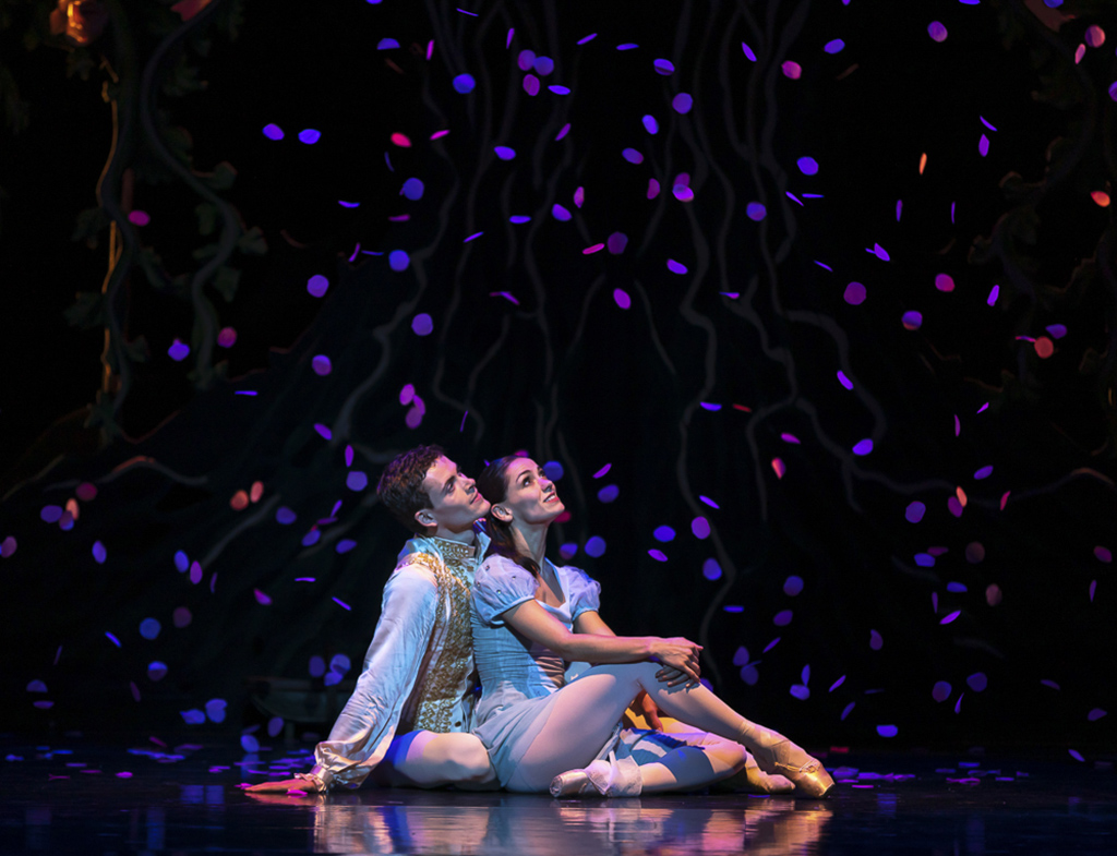 Will Cinderella's fairy-tale dream come true? 