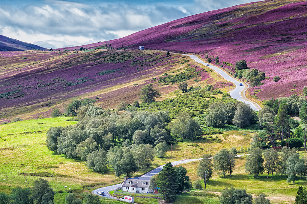 Cairngorms