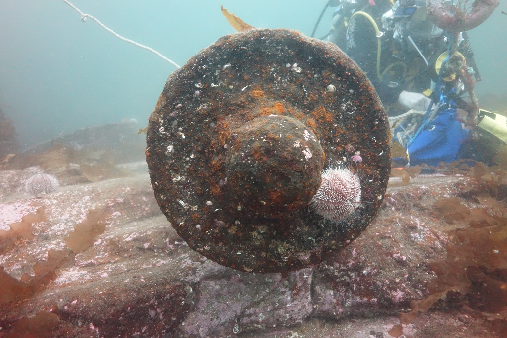 The wreck of the Queen of Sweden