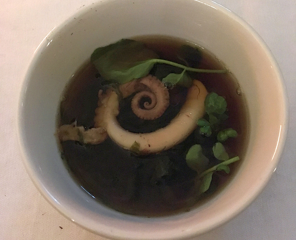 Octopus garden soup