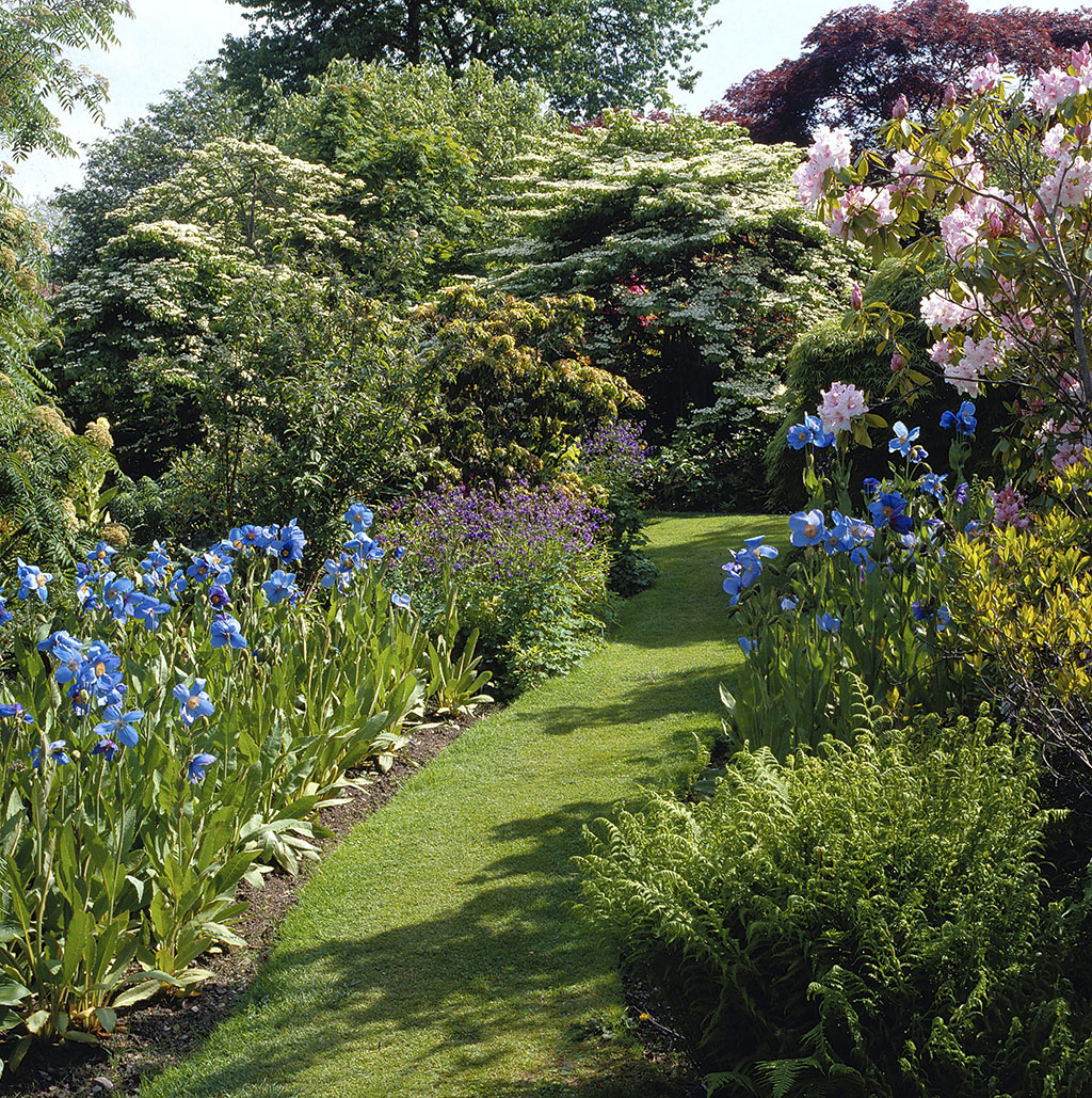 Branklyn Garden, Perth