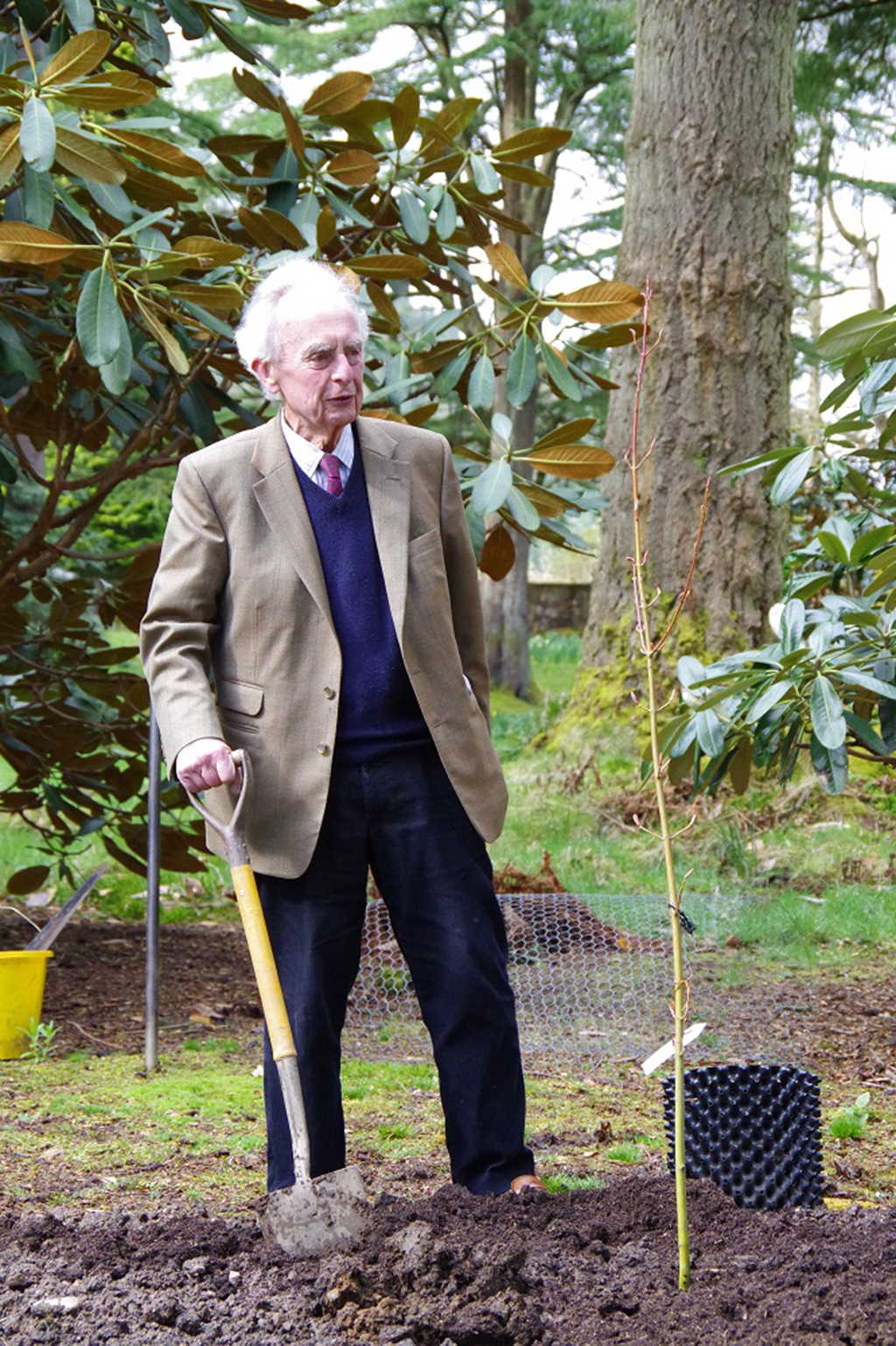 Peter Hutchison helped change the way we think about plants of the Himalaya – particularly rhododendrons