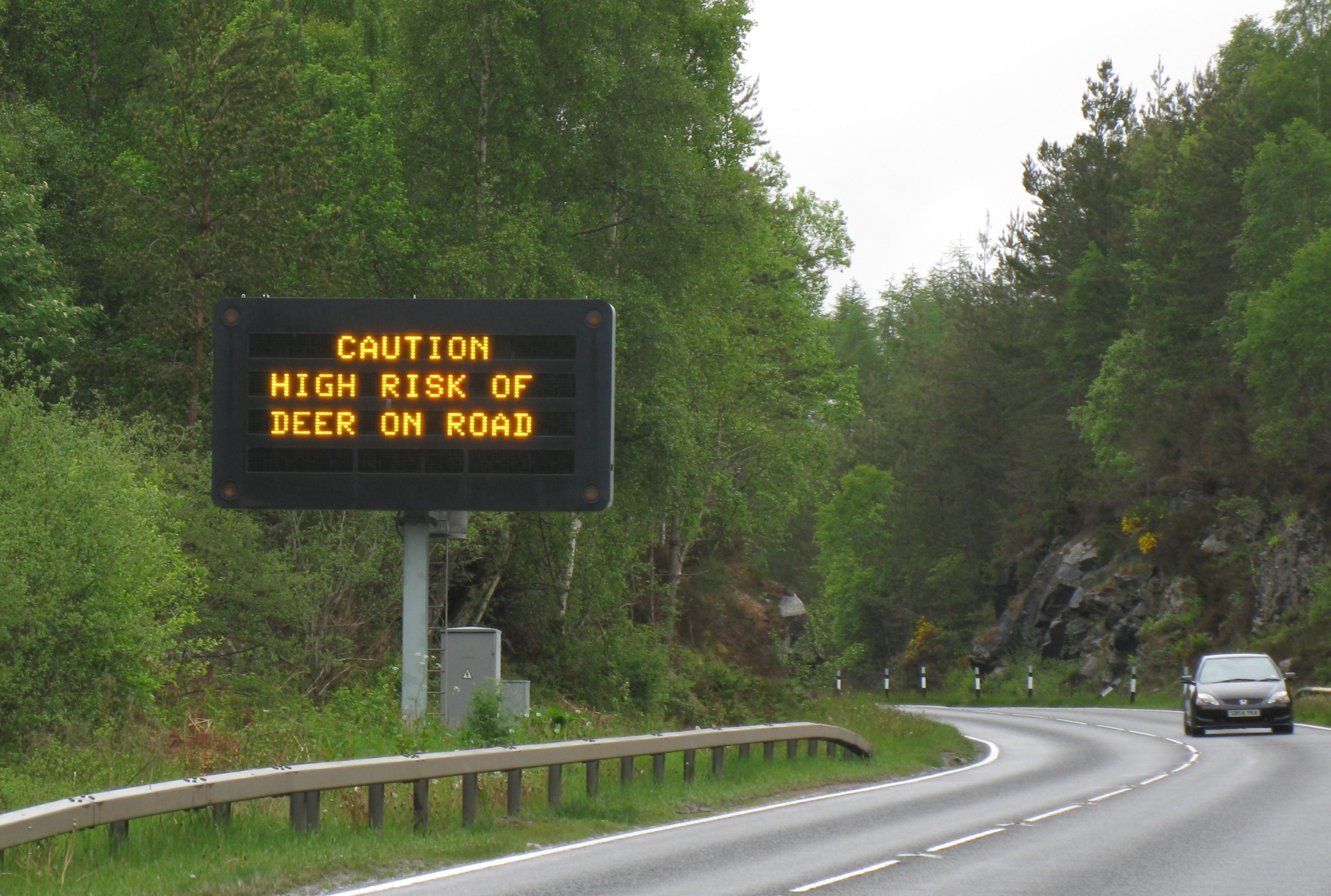 Deer warnings will appear on roadside signs (Photo: Scottish Natural Heritage)