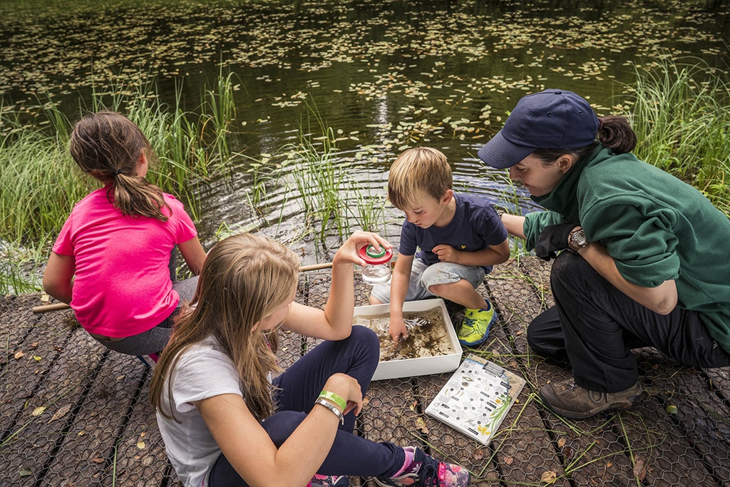 Drumlanrig Ranger activities are a great outing for families.