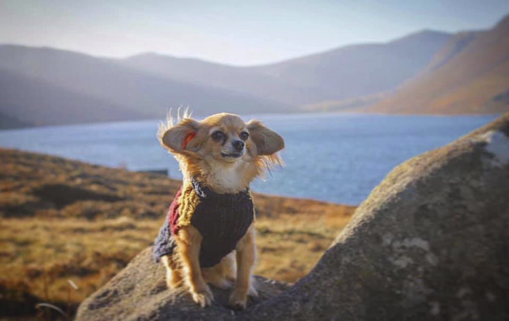 Loch Muick is a fantastic escape, far removed from city life.