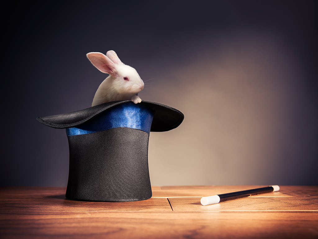 Magic rabbit top hat
