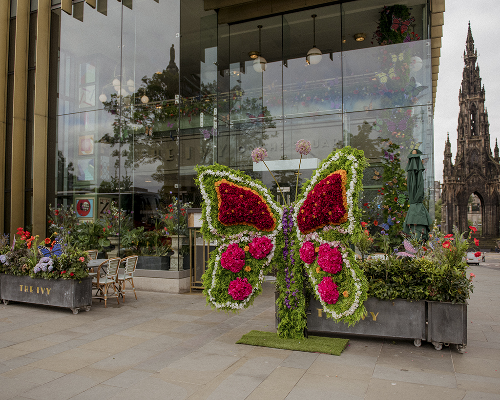 The Ivy outside