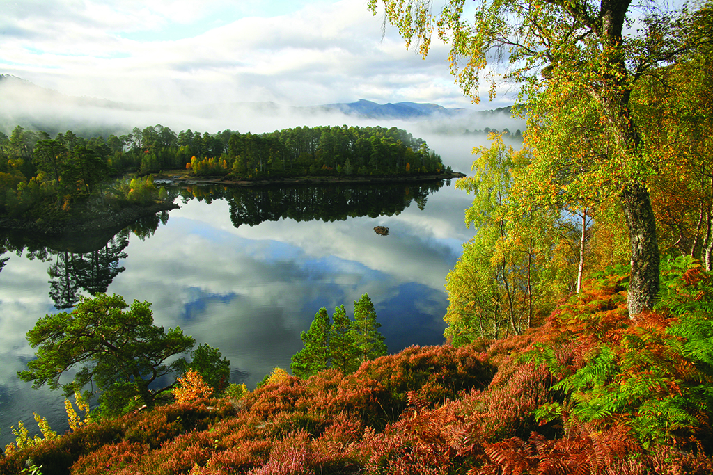 Birch, aspen and pine grow by the banks of Loch Benevean