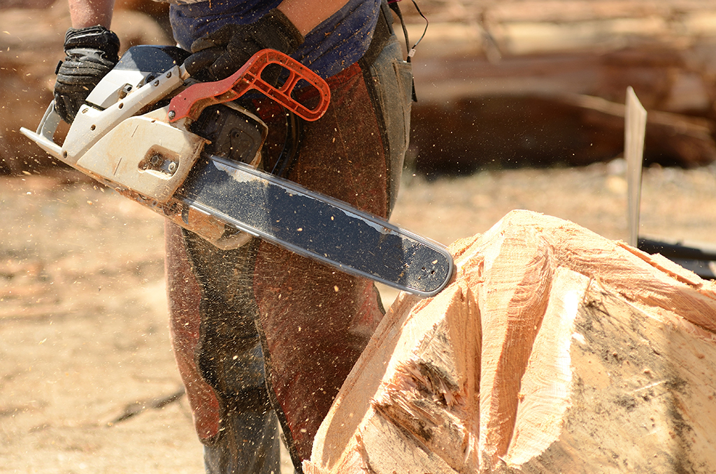 Chainsaw carving 1