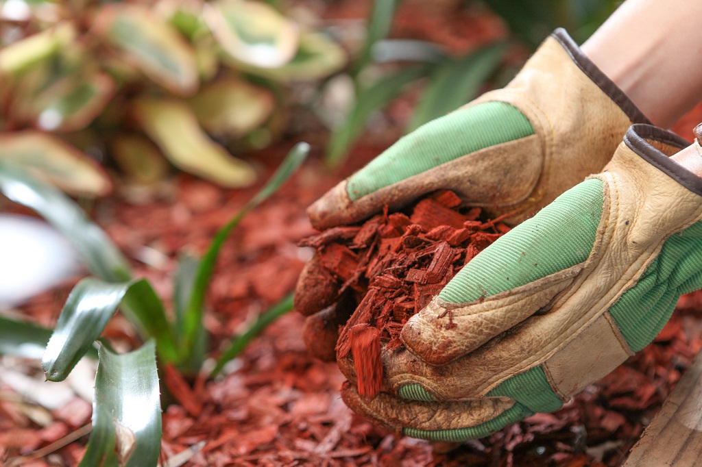 Mulch for the garden