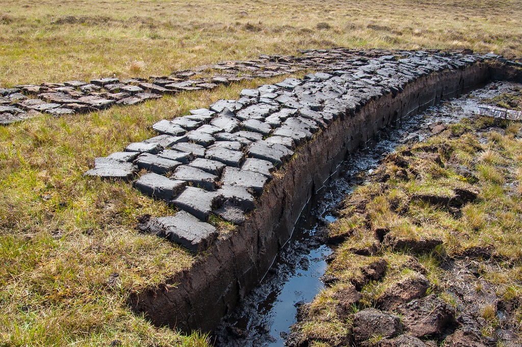 Peat cutting