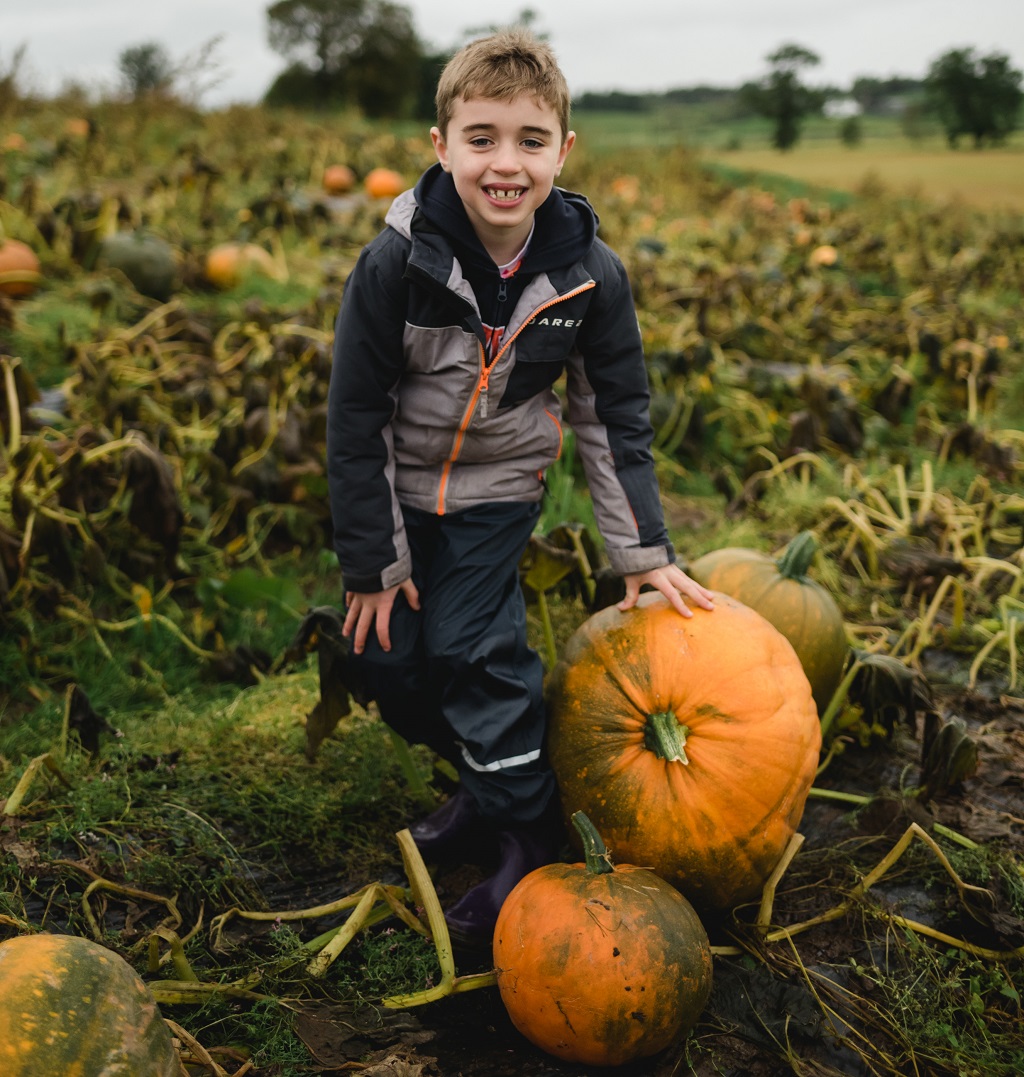 There's plenty of pumpkins at Arnprior Farm (Photo: Mack Photo)
