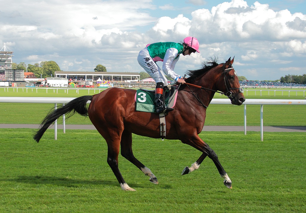 Frankel goes to the post for the Juddmonte International at York, 2012